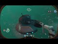 Ghost leveathan in blood kelp zone?! (Subnautica)