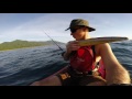 GoPro: Pelican Learns To Fish