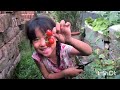 Beautiful natural rural life harvesting local 🍅🍅